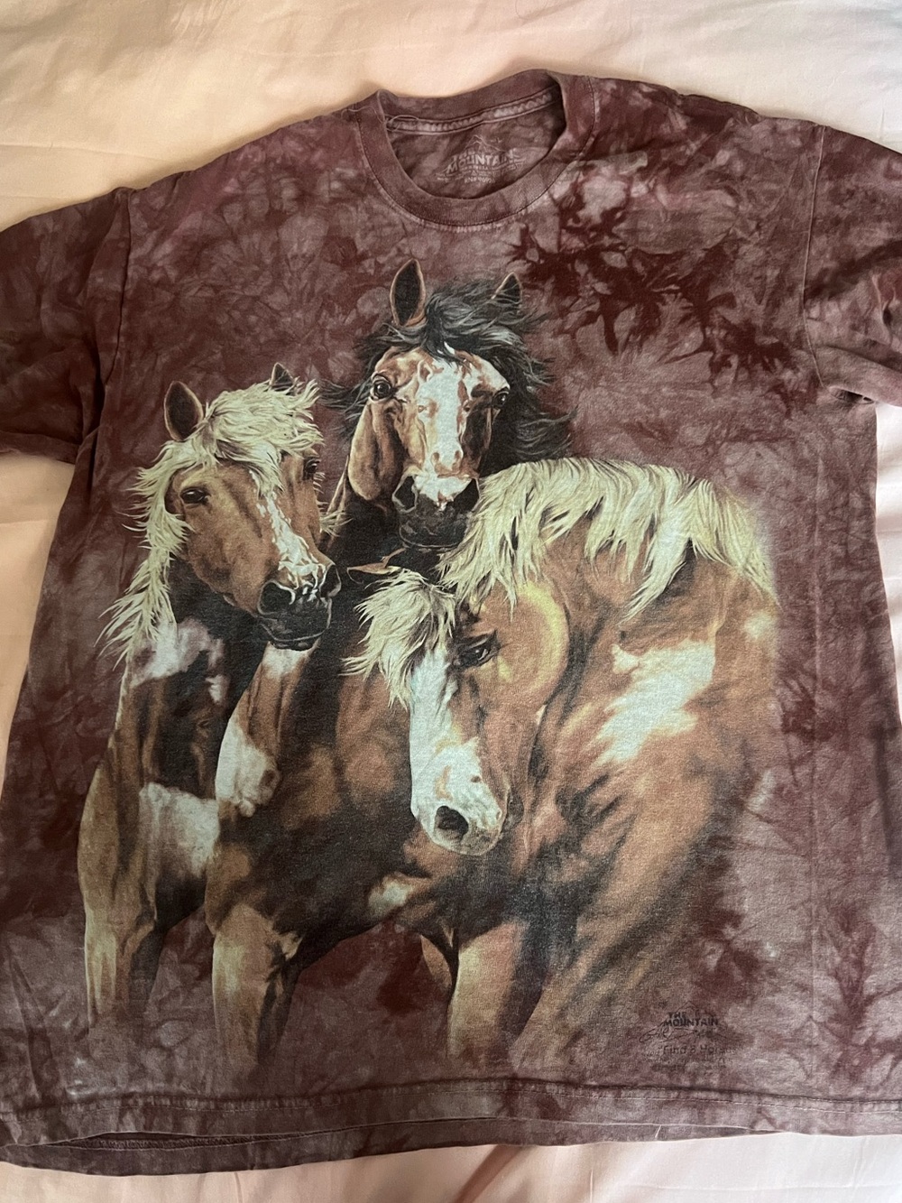 Men’s the Mountain Horses Tie-Dye Graphic T-Shirt